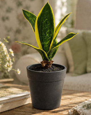 Artificial plant shelf styled display