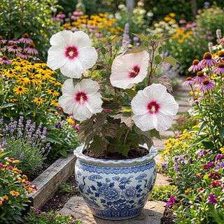 White hibiscus ceramic planter outdoor home decor