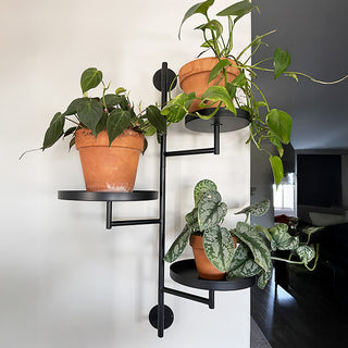Wall-mounted black metal plant stand holding terracotta pots with trailing indoor plants in a modern home