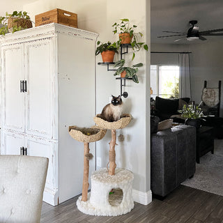 Modern living room with wall-mounted black plant stand displaying potted plants beside a white cabinet and a cat tree with a cat perched on top.