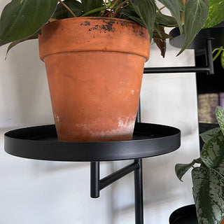 Close-up of terracotta plant pot resting on a black metal circular tray of a wall-mounted plant stand.
