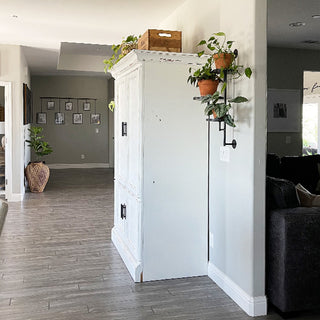 Wide view of hallway and living space with a white cabinet and black wall-mounted plant stand holding terracotta pots.