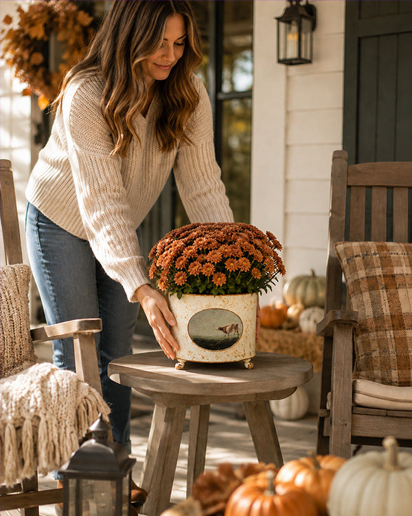 Vintage Cow Distressed Metal Planter with Footed Base
