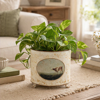 cow pot planter Vintage Cow Distressed Metal Planter with Footed Base
