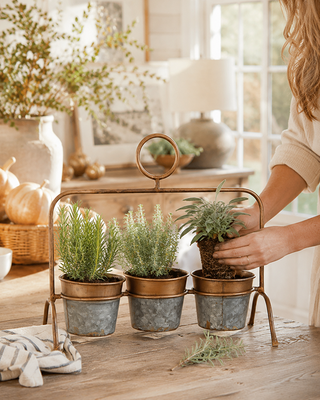 Gilded Galvanized Metal Planter