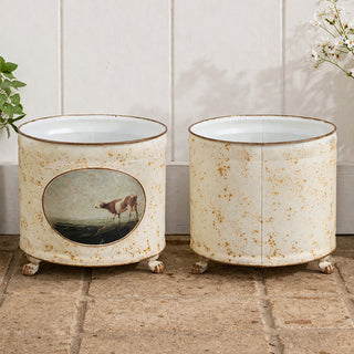 Rustic farmhouse planter with pastoral cow artwork and pothos plant