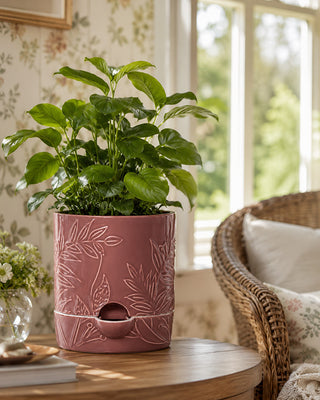 Self watering planter compact size windowsill display