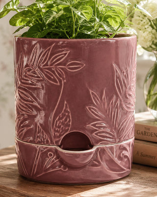 Red planter low maintenance plant care indoor