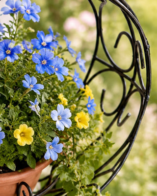 Hanging Heart Shaped Planter