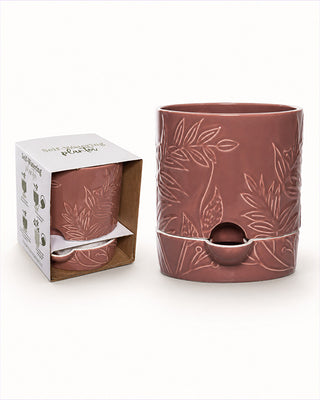 Red planter low maintenance plant care indoor