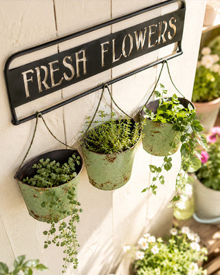 Fresh Flowers Wall Planter with 3 Hanging Buckets