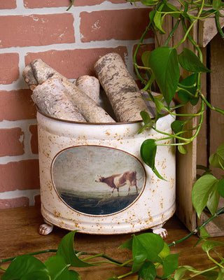 Vintage Cow Distressed Metal Planter with Footed Base
