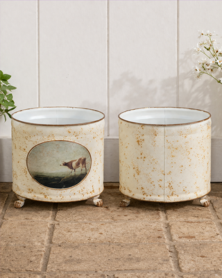 Vintage Cow Distressed Metal Planter with Footed Base