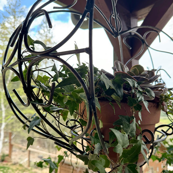 wrought iron heart plant hanger Hanging Heart Shaped Planter