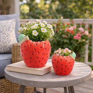indoor strawberry planter Strawberry Planters with Snail Accent, Set of 2