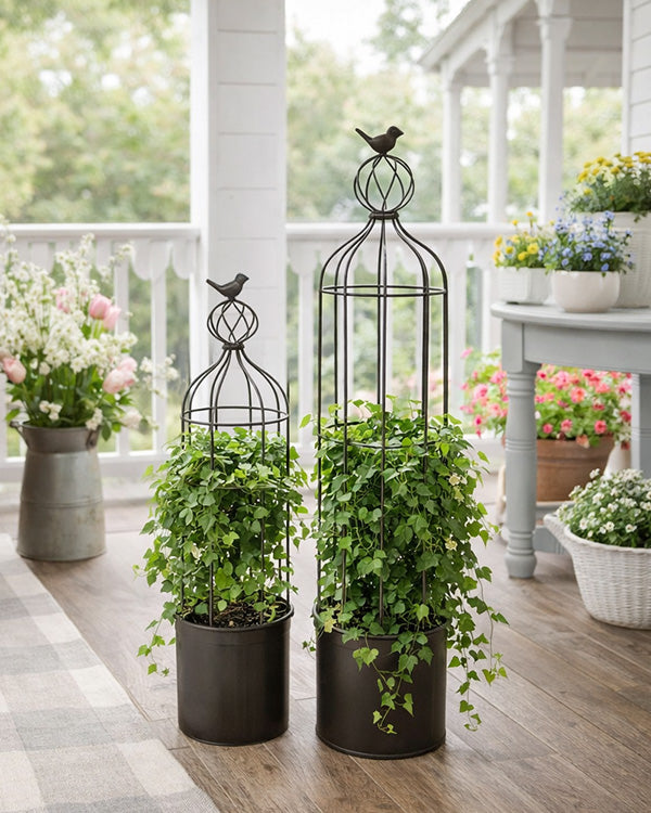 Distressed Metal Bird Cage Trellis Planters with Bird Finial, Set of 2