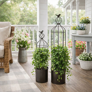Set of two distressed metal bird cage trellis planters with bird finials on porch with ivy