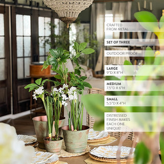 Verdigris Patina Metal Planters, Set of Three