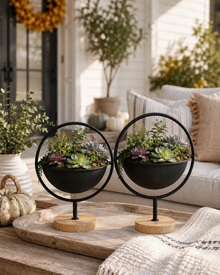 Blackened Iron Orbit Bowls on Wood Pedestals, Set of 2