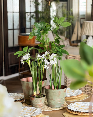Verdigris Patina Metal Planters, Set of Three