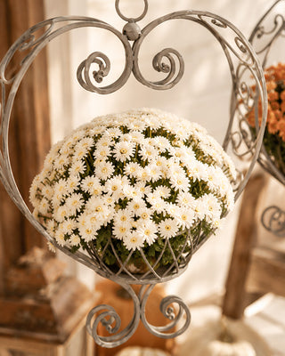 Ornamental Hanging Metal Heart Shaped Planters, Set of Two