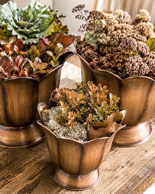 Bronze Scalloped Petal Planters - Set of 3 with Pedestal Base