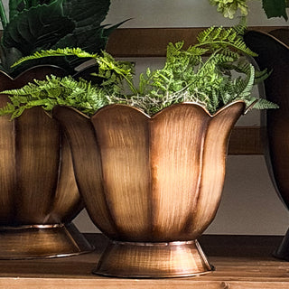 large bronze plant pots Bronze Scalloped Petal Planters