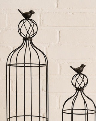 Distressed Metal Bird Cage Trellis Planters with Bird Finial, Set of 2