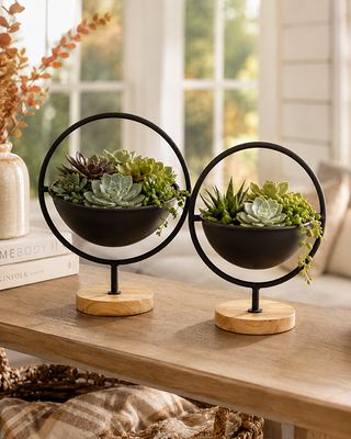 Blackened Iron Orbit Bowls on Wood Pedestals, Set of 2