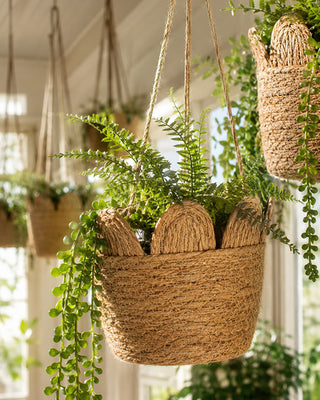 Seagrass basket texture closeup view