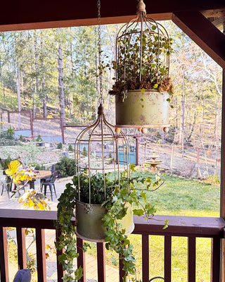 Hanging Metal Rustic Birdcage Planter, Set of Two