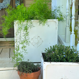 Close-up white square planter with trailing greenery