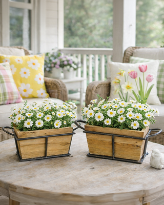 Rustic Natural Wood Planter Boxes with Handles, Set of 2