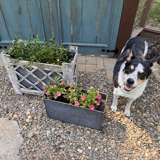 Outdoor garden planters with flowers and rustic style