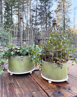Hanging Metal Rustic Birdcage Planter, Set of Two