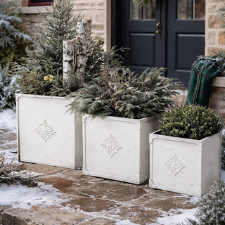 Set of white square outdoor planters in winter display