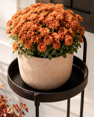 Cascading Three-Tier Metal Plant Stand