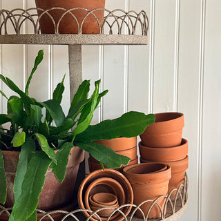 Terracotta pots on a metal plant stand with a plant in the foreground against a white paneled wall.