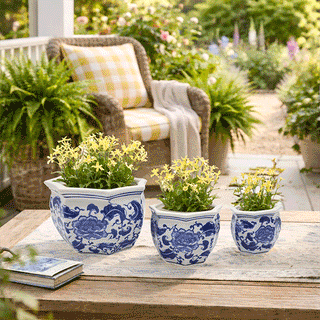 Three blue and white ceramic planters with plants styled on outdoor patio table