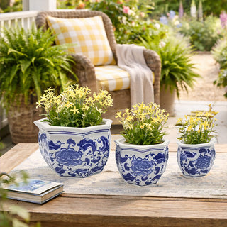 Blue and white floral ceramic pots with live plants on garden table
