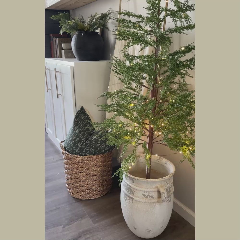 Wild Pine 60 Inch Christmas Tree with Removable MGO Pot and String Lights video