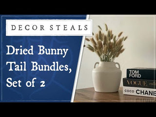 Dried Bunny Tail Bundles, Set of 2