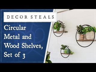 Circular Metal and Wood Shelves, Set of 3