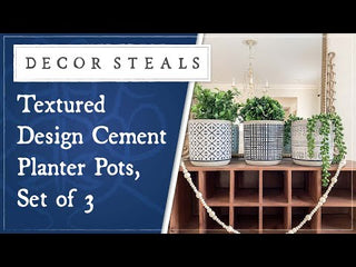 Textured Design Cement Planter Pots, Set of 3