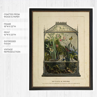 Antique insect home illustration with detailed butterflies moths and botanical elements in ornate display case