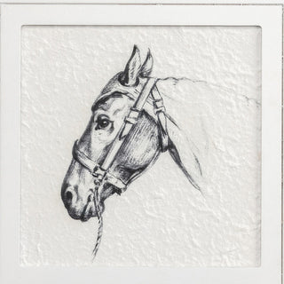 horse print