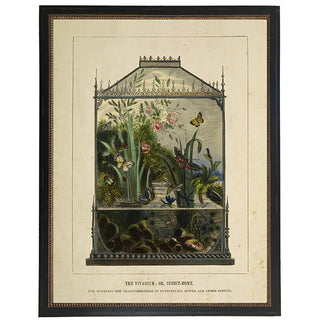Museum quality butterfly and botanical print with hand-colored Victorian aesthetic and underwater life detail