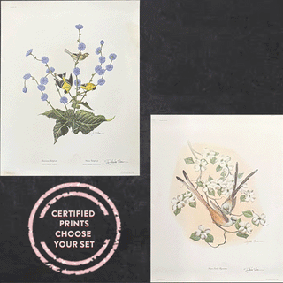 FOUND Certified Richard Sloan Signed Vintage LARGE Prints, Choose Your Style