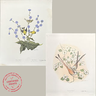 FOUND Certified Richard Sloan Signed Vintage LARGE Prints, Choose Your Style