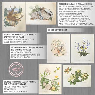 FOUND Certified Richard Sloan Signed Vintage LARGE Prints, Choose Your Style